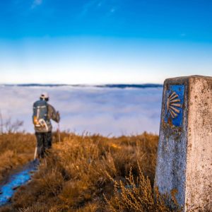 Camino de Santiago Primitivo 2026