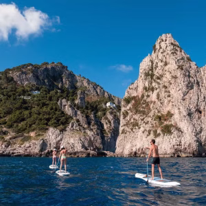 Paddle Surf