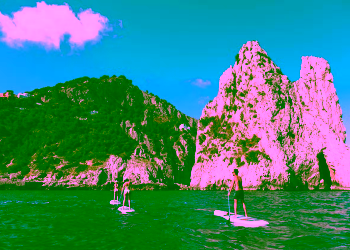 Paddle Surf 2026
