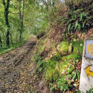 Camino de Santiago Francés