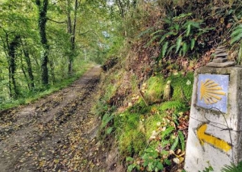 Camino de Santiago Francés
